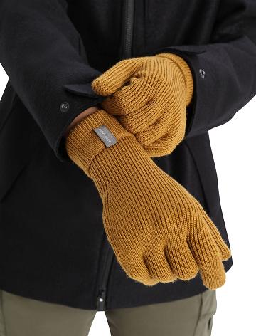 Women's Icebreaker Unisex Merino Rixdorf Gloves Clove | CA 1446MQZA